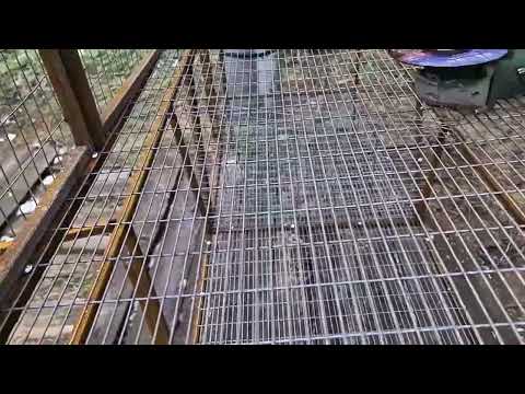 Видео: Как выбрать идеальную сетку для клетки.Готовимся к масштабированию фермы🐰#farmer #кролики_разведение