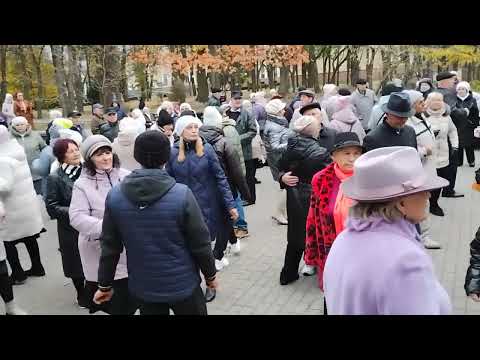 Видео: 03.11.2024.🤔🤗👍Не уходи,побудь со мной.В Гомельском парке.