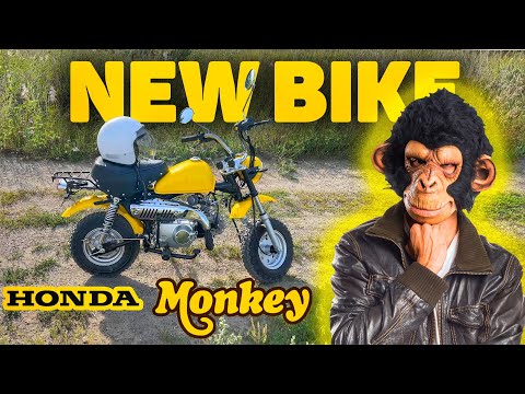 Видео: Распаковка ЛУЧШЕГО МОПЕДА Honda Monkey