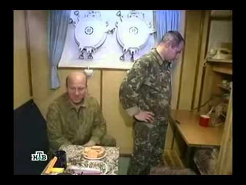Видео: Зашкеренные в океане