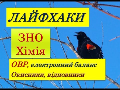 Видео: ЛАЙФХАКИ ДЛЯ ЗНО ХІМІЯ | ОКИСНО-ВІДНОВНІ РЕАКЦІЇ | ОКИСНИКИ, ВІДНОВНИКИ | МЕТОД ЕЛЕКТРОННОГО БАЛАНСУ