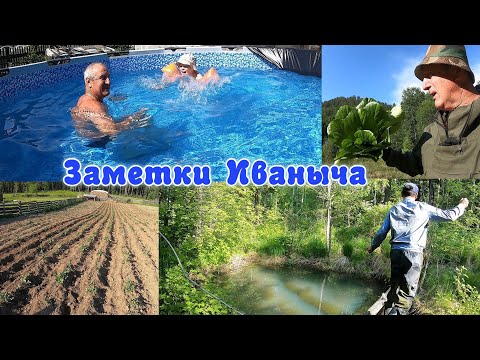 Видео: Купаемся в бассейне, отправились на поиски бадана