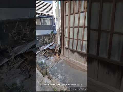 Видео: Брошенные дома в Японии: Что такое акия и стоит ли их покупать?