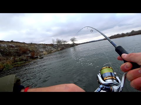 Видео: РЫБАЛКА на ОКЕ! БЕШЕНЫЙ КЛЁВ ЩУКИ и СУДАКА на СПИННИНГ. ДЖИГ на красивейшей РЕКЕ