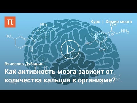 Видео: Мозг: работа синапсов — Вячеслав Дубынин