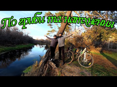 Видео: Велодень в осеннем лесу или вело-грибной пикник.