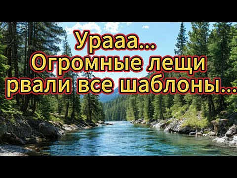 Видео: Огромные осенние Лещи рвали все шаблоны...