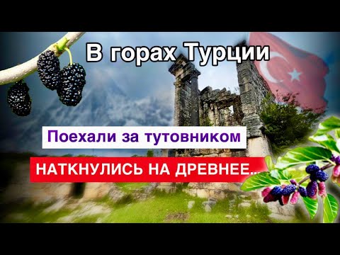 Видео: ЧТО это было и КТО построил? Древняя Недвижимость Мерсина). Турция