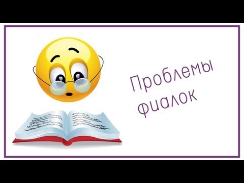 Видео: Проблемы фиалок и их решение