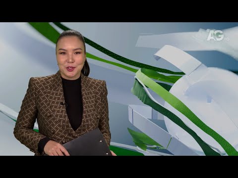 Видео: МЭДЭЭ / 2025.10.24