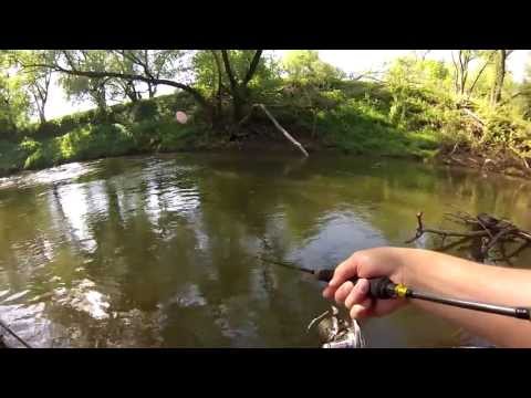 Видео: Крупный голавль малой реки. Large chub of small rivers.