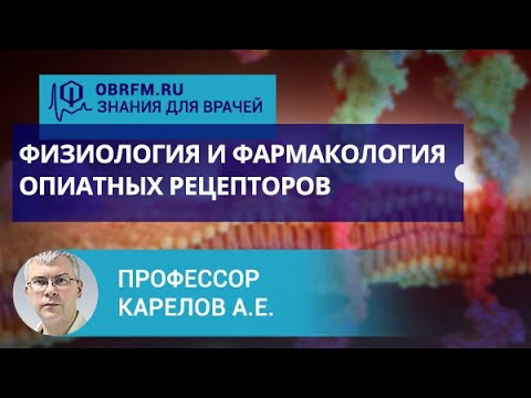 Видео: Профессор Карелов А.Е.: Физиология и фармакология опиатных рецепторов