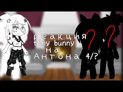 Видео: реакция 𝕥𝕚𝕟𝕪 𝕓𝕦𝕟𝕟𝕪 на Антона 4/?