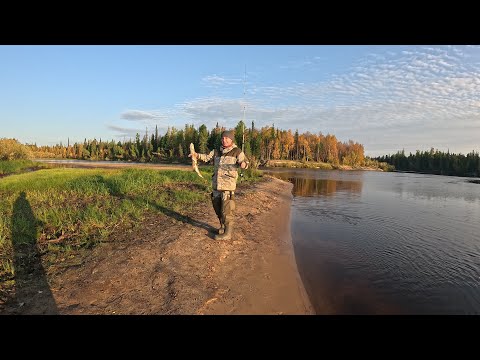 Видео: Щука бастовала но всё же удалось немного поймать, ну и по пути домой попали на окунёвый рай.