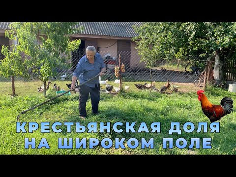 Видео: Зима не за горами. Уборка урожая.