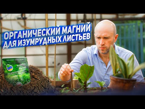 Видео: Органический МАГНИЙ для изумрудных листьев. Все про МАГНИЙ для ОРГАНИЧЕСКОГО земледелия.