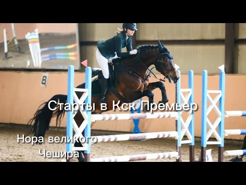 Видео: НЕДЕЛЯ НА КОНЮШНЕ/ СТАРТЫ В КСК ПРЕМЬЕР/ ПЕРВЫЙ МЕТР