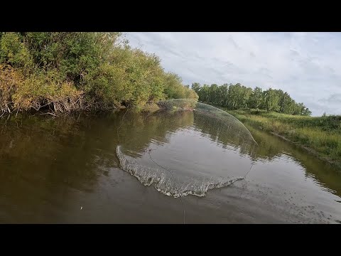 Видео: Я НЕ ОЖИДАЛ ЧТО НАКРОЮ ТАКИХ КАБАНОВ!!! НАКИДКА КАК ВСЕГДА РАДУЕТ УЛОВОМ. САЗАН НА КАСТИНГ...