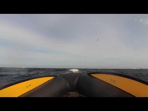 Видео: Баренцево море шторм лодка РИБ ПНД 4.8 метра ветер 5-7 м/с HPDE RIB boat 4.8 storm