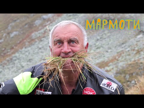 Видео: За мармоти в Карпатите, старо румънско село и скален манастир. (епизод 256)