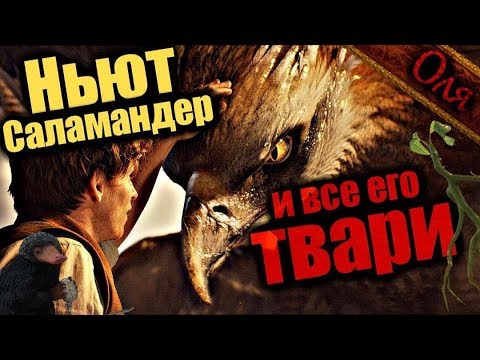 Видео: НЬЮТ САЛАМАНДЕР и все его ФАНТАСТИЧЕСКИЕ ТВАРИ