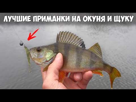 Видео: Важен ли ЦВЕТ ПРИМАНКИ для хищника?! РЫБАЛКА на УЛЬТРАЛАЙТ в ХОЛОДНОЙ ВОДЕ