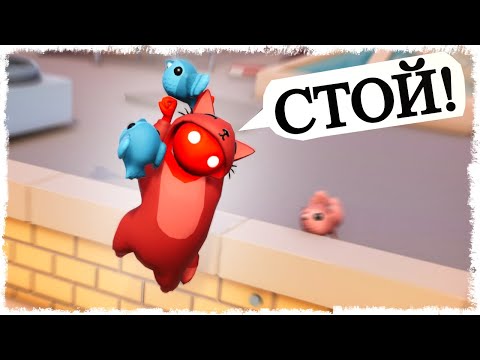 Видео: ЭТИ ПТИЦЫ МЕНЯ ЗАДОЛБАЛИ!!!