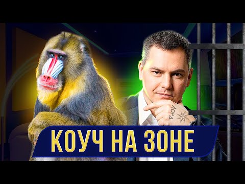 Видео: За что сидел один инфоцыган и может сесть другой