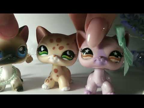 Видео: lps: РАСПАКОВКА стоячки unboxing shorthair cat ✨