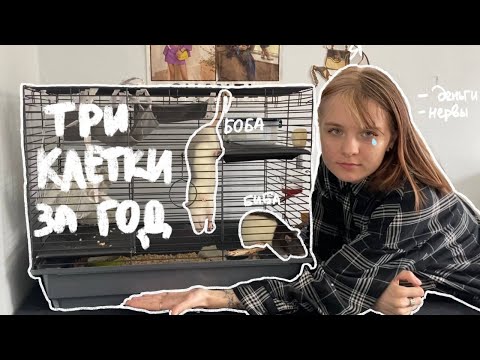 Видео: Крысы худшие домашние питомцы | Новая клетка ( надеюсь последняя )