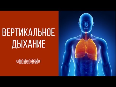 Видео: Вертикальное дыхание. Как дышать во время игры на губной гармошке