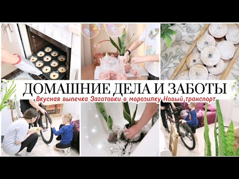 Видео: ДОМАШНИЕ ДЕЛА И ЗАБОТЫ / КУПИЛИ НОВЫЙ ТРАНСПОРТ / ЗАГОТОВКИ