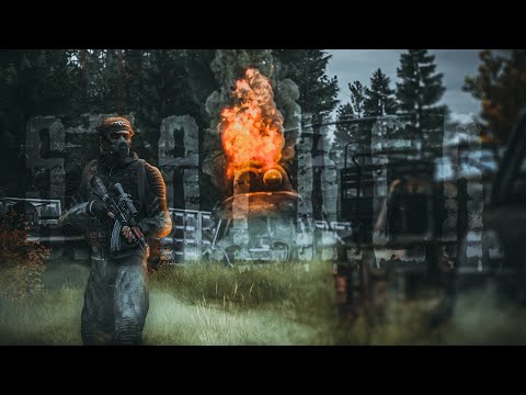 Видео: Медвежонок нашёл врагов в Зоне | DayZ StalkerRP