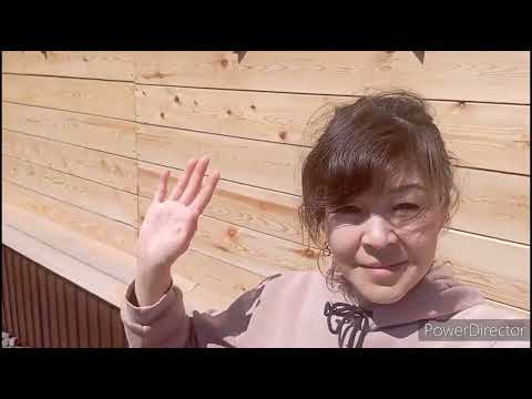 Видео: Огородные дела) 🌱🍅🍆. Быстрые обеды🫕. Кусочек нашей жизни)