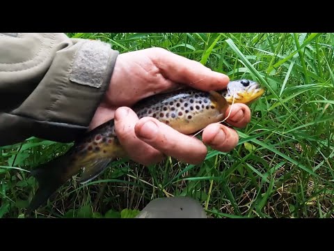 Видео: Северная Карелия. Рыбалка в глуши. Часть вторая.