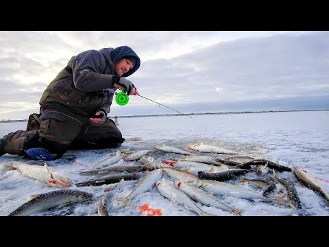 Видео: НА КРАЙ СВЕТА на ПЕРВЫЙ ЛЁД!  Начало зимней рыбалки в ЗАПОЛЯРЬЕ