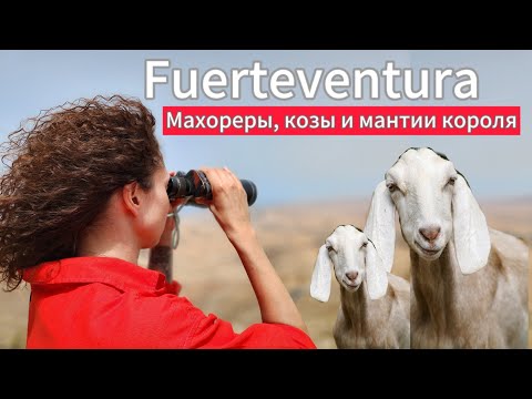 Видео: Канары. Остров Fuerteventura за 1 ДЕНЬ
