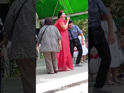 Видео: 4 ноября 2025 г.