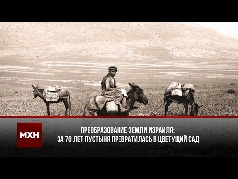 Видео: 70 ЛЕТ ЗЕМЛИ ИЗРАИЛЯ: ПУСТЫНЯ ПРЕВРАТИЛАСЬ В ЦВЕТУЩИЙ САД