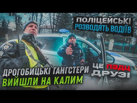 Видео: ПОЛІЦЕЙСЬКІ рубають "ЛЕБЕДЯ" РОЗВОДНЯК в ДРОГОБИЧІ