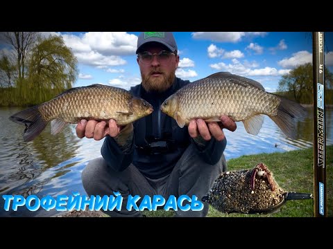 Видео: ТРОФЕЙНИЙ КАРАСЬ НА ПІКЕР|РИБАЛКА НА КАРАСЯ|Flagman Sherman Pro Picker