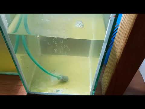 Видео: Амано  Переводим Аманку на пресную воду