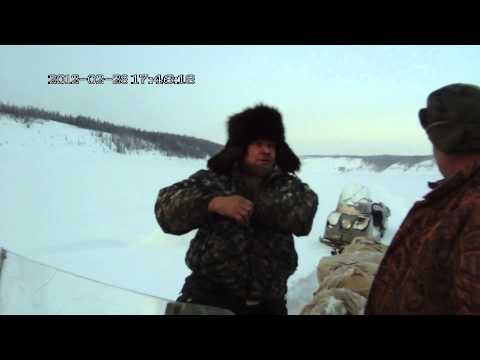 Видео: Прокурора поймали на браконьерстве