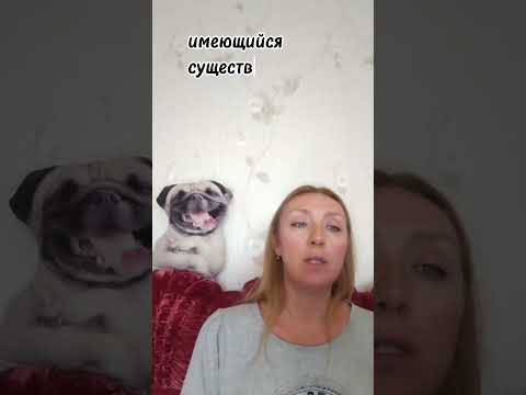 Видео: Сочинение ЕГЭ. +7 баллов. Способ 5