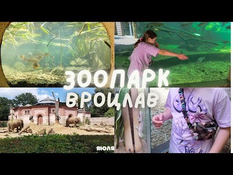 Видео: НАШ ПОХІД У ЗООПАРК МІСТА ВРОЦЛАВ (2024)