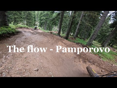 Видео: The flow - Пампорово