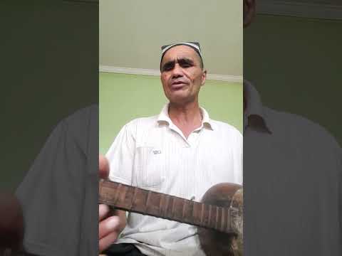 Видео: 2 ноября 2025 г.