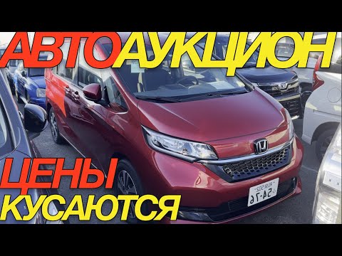 Видео: ЯПОНЦЫ ПОПУТАЛИ С ТАКИМИ ЦЕНАМИ / HONDA FREED ZR-V FIT TOYOTA COROLLA CROSS FIELDER TOURING