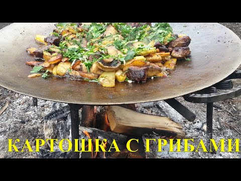 Видео: КАРТОШКА С ГРИБАМИ НА САДЖЕ НА КОСТРЕ #01