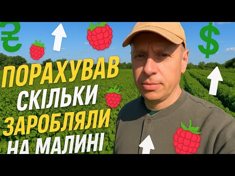 Видео: 🟥 ПОРАХУВАВ СКІЛЬКИ ЗАРОБЛЯЛИ в місяць на малині ✅ Купив пестицид, щоб був більший прибуток